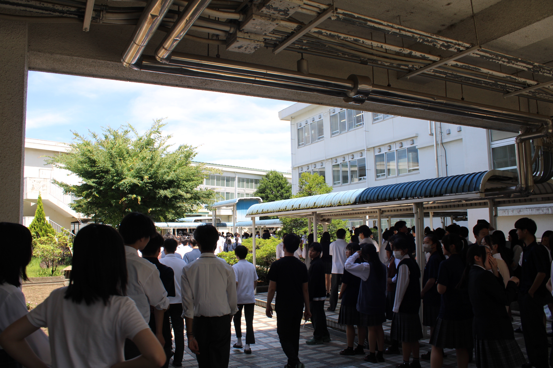 IMG_2335.JPG
