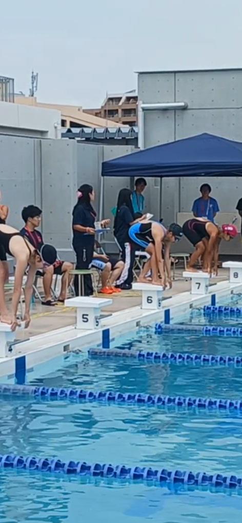 Swimmer-SD