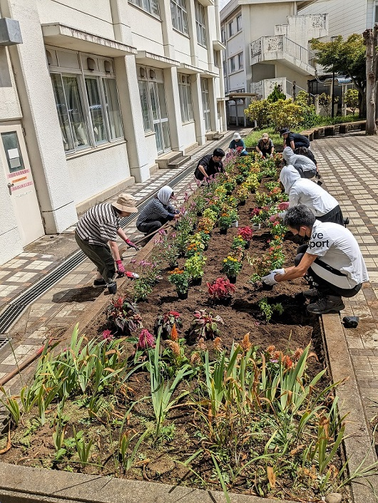 ③花の植え替え