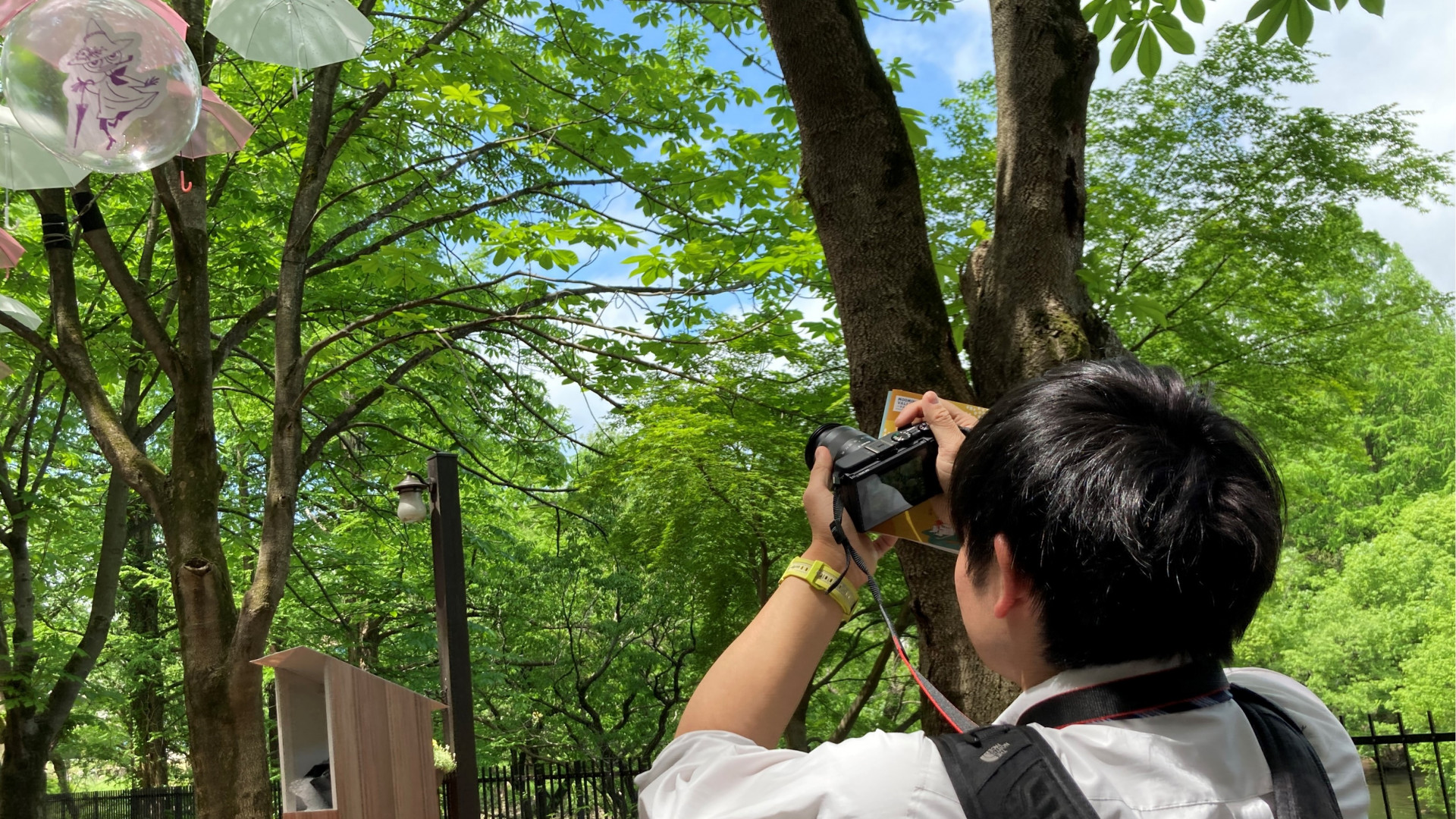 画像4