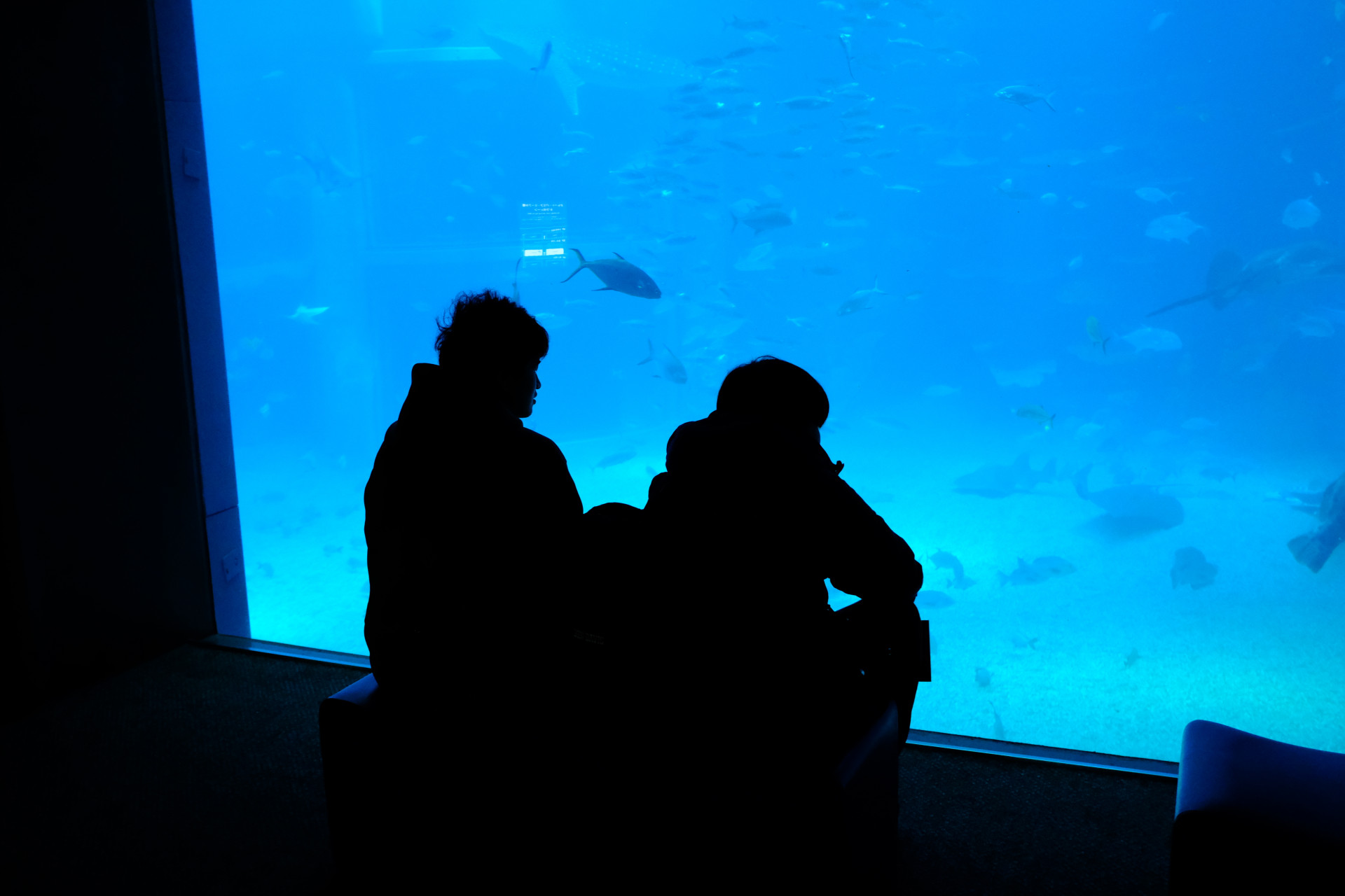 DSCF7544.JPG