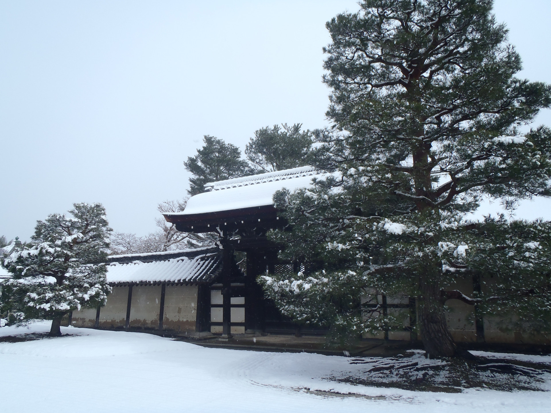 雪の天龍寺１.JPG