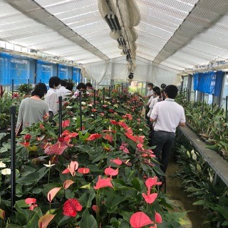 八高見学会③