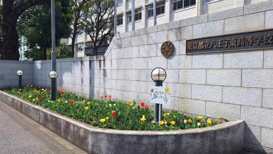 ちゅーりっぷ１