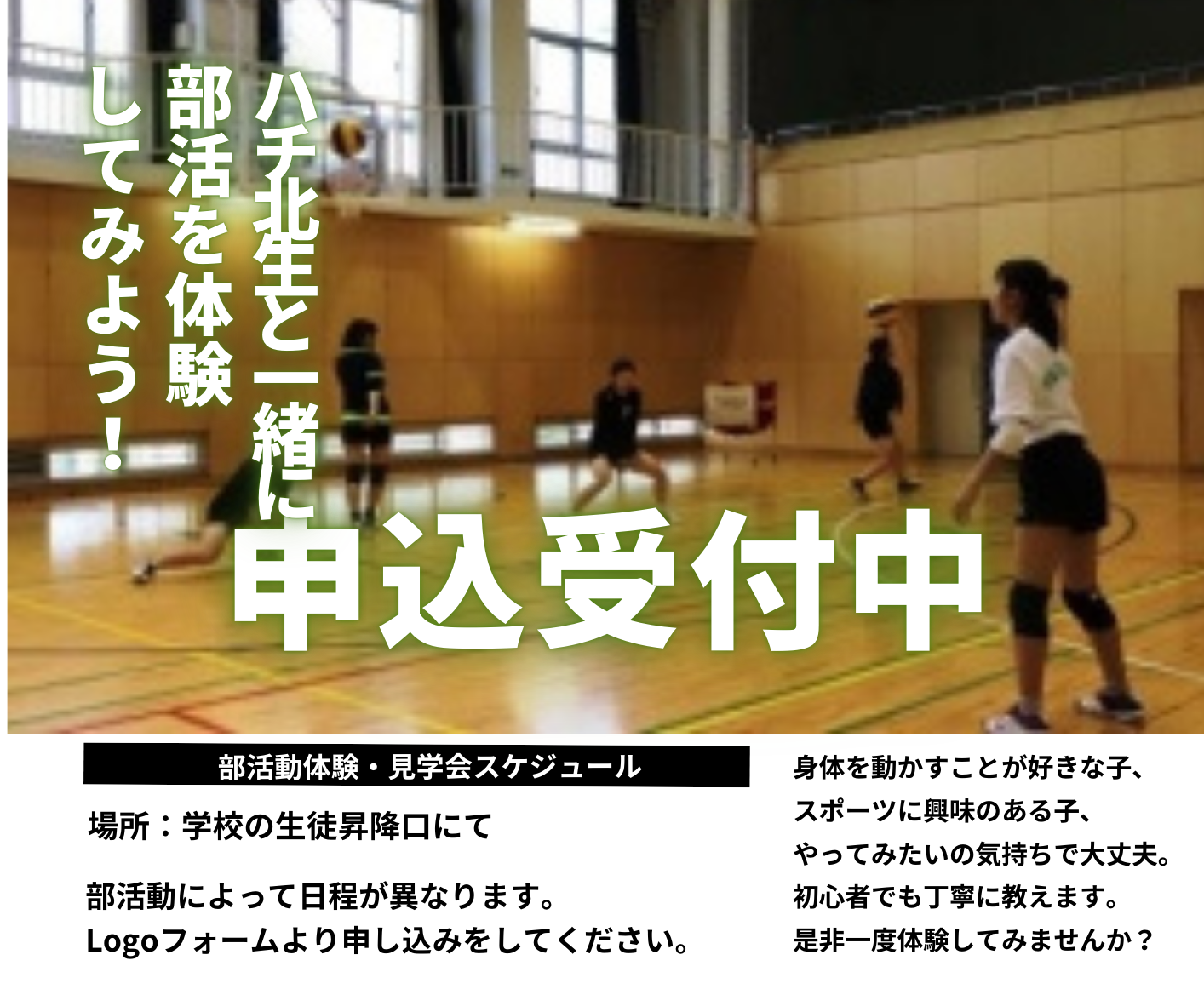 (HP用）トプ画