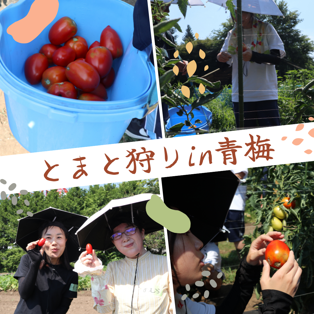 Instagram投稿　着物　写真　赤