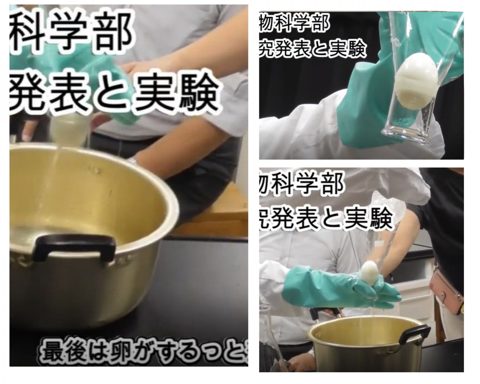 生物化学