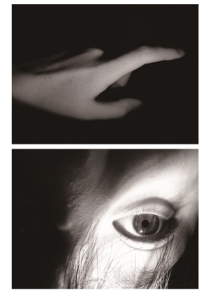 H28東京都地区大会(夏大会) ・入賞作品