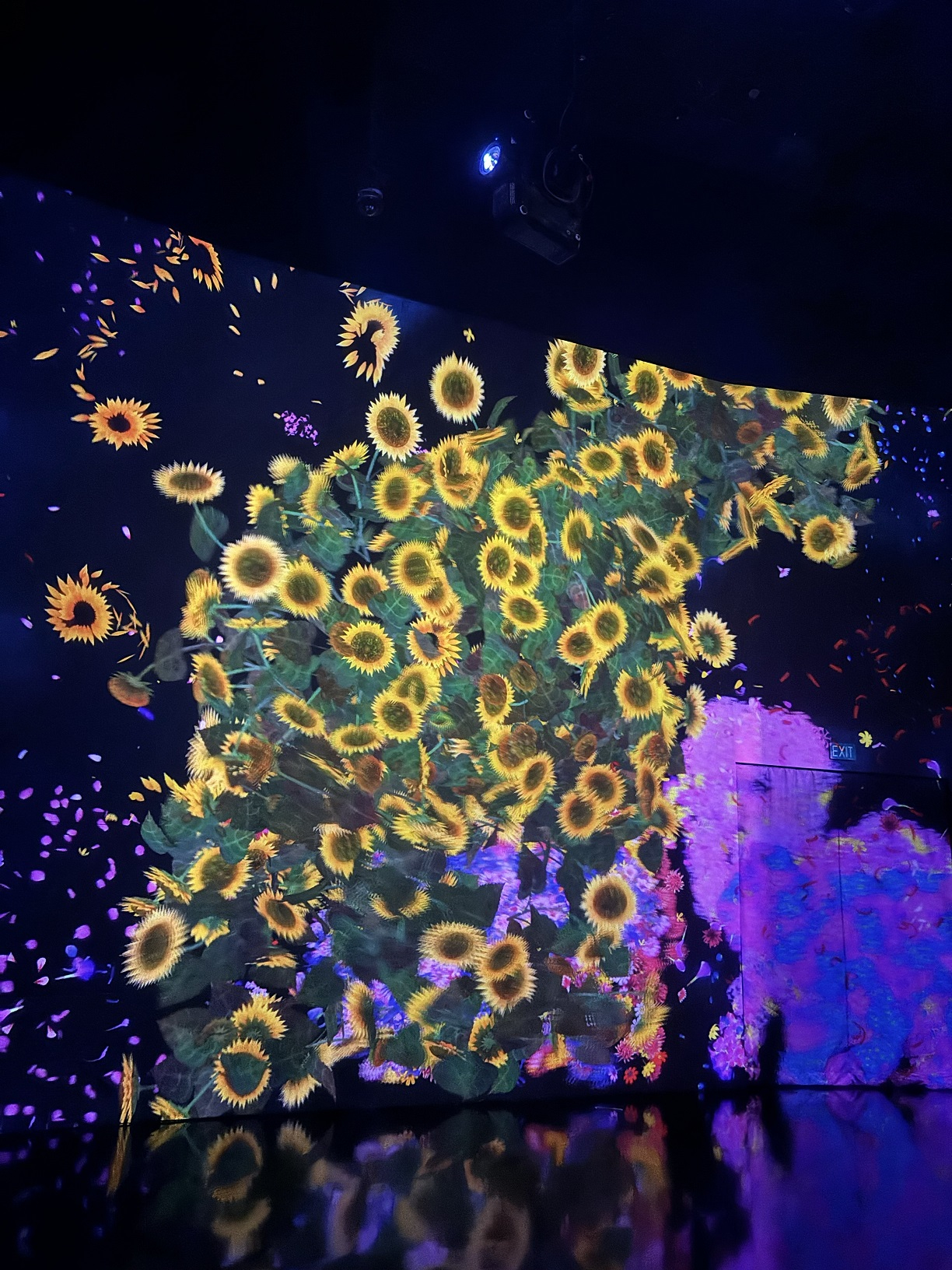 アートサイエンスミュージアム