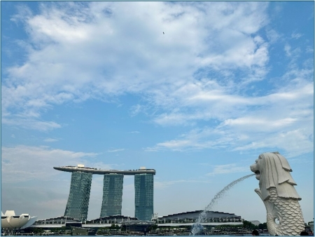 Sembawangの先生たちとの打ち合わせ、8月に待っている景色