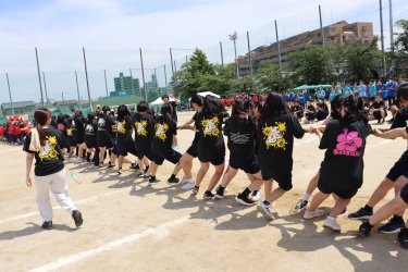 応援パフォーマンス 綱引き