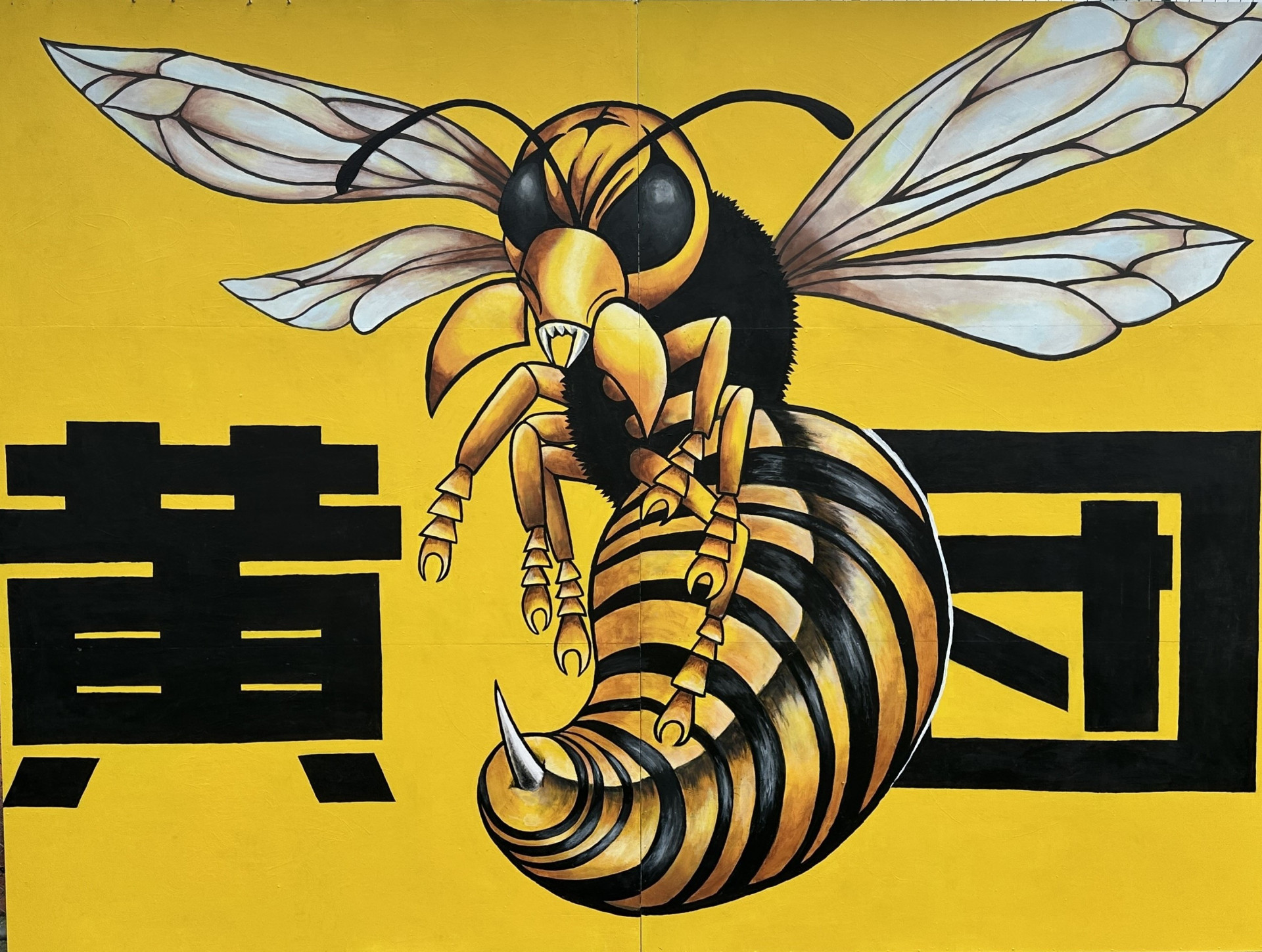 2026T17_51