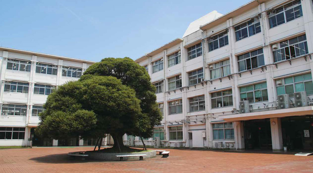 学校写真