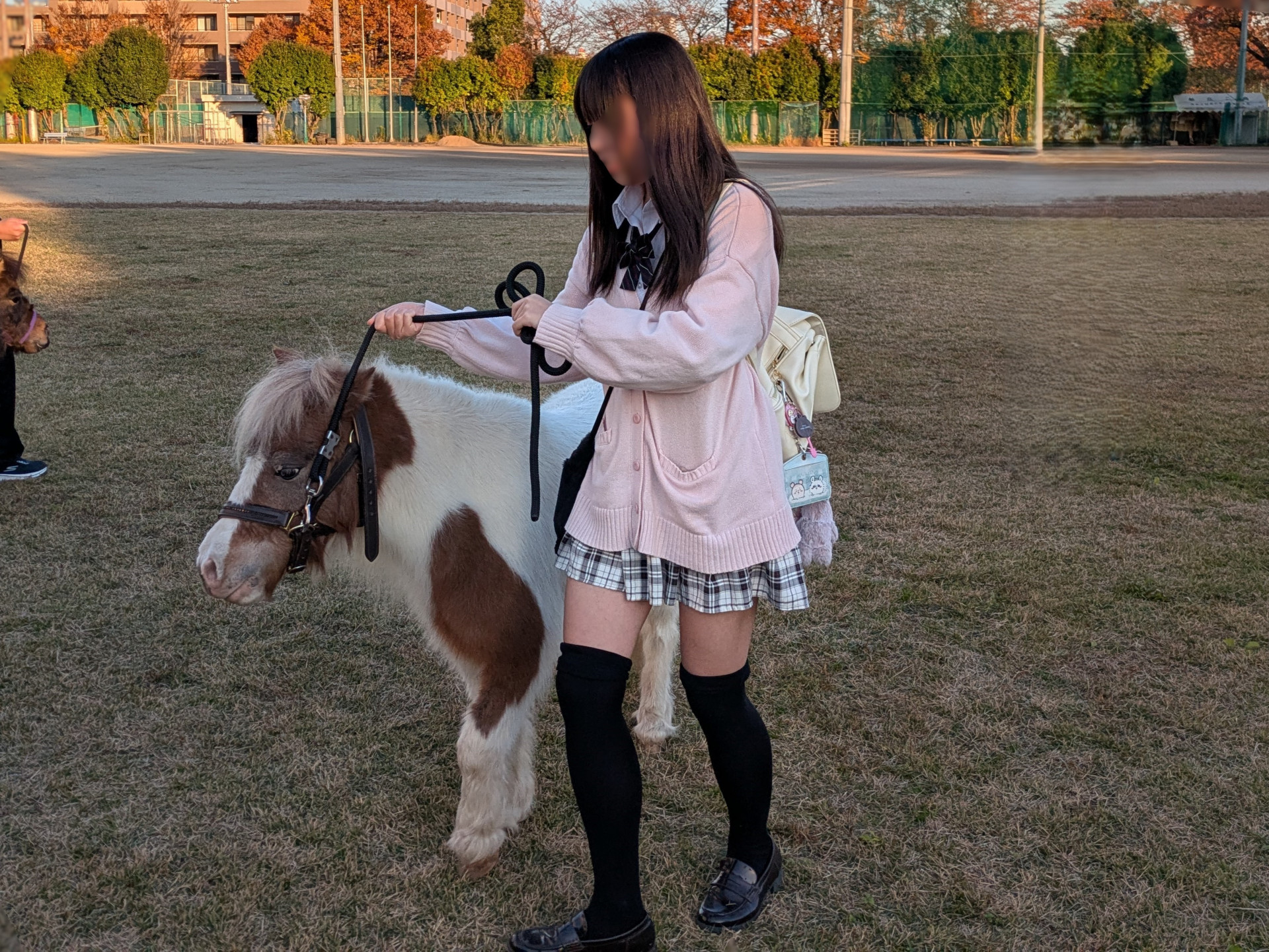 アニマルセラピー２