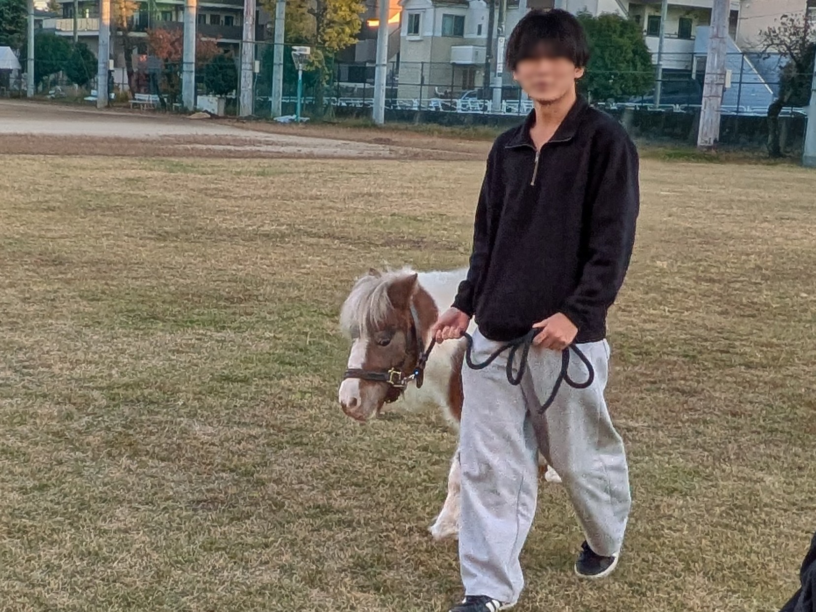 アニマルセラピー３