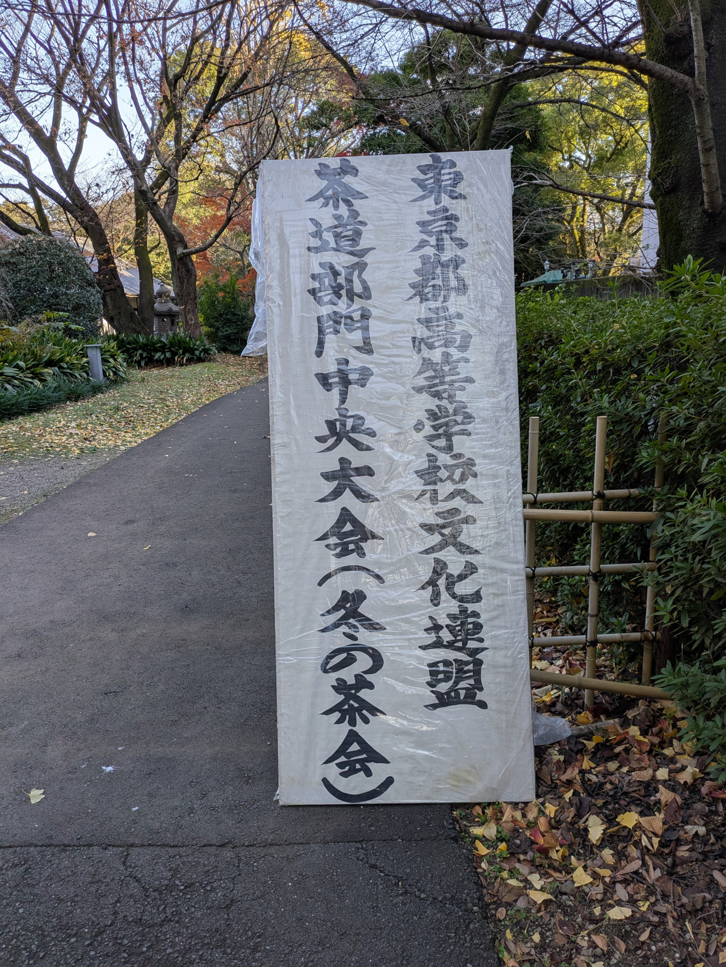 PXL_20241221_050551645