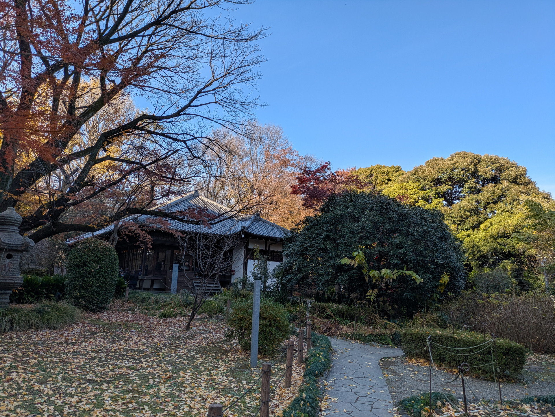 PXL_20241221_050659535