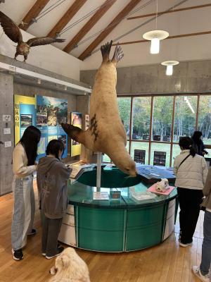 メディア (10)