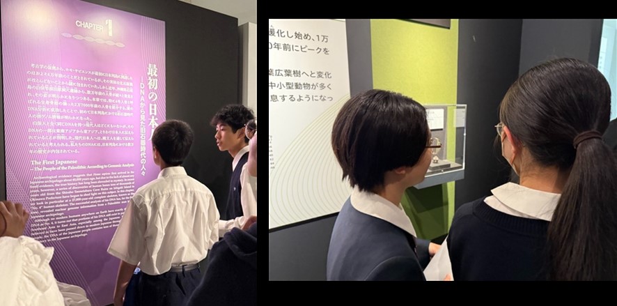 国立科学博物館ツアー①