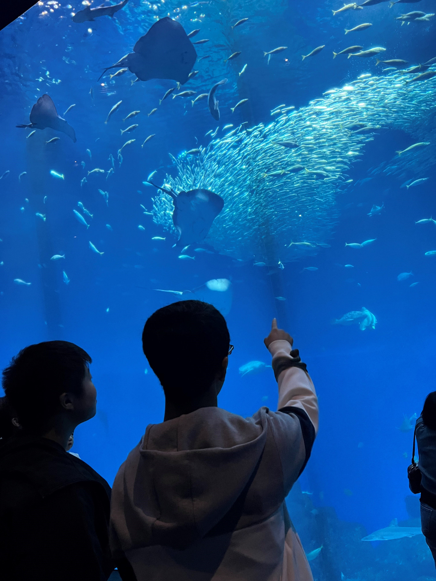 水族館１