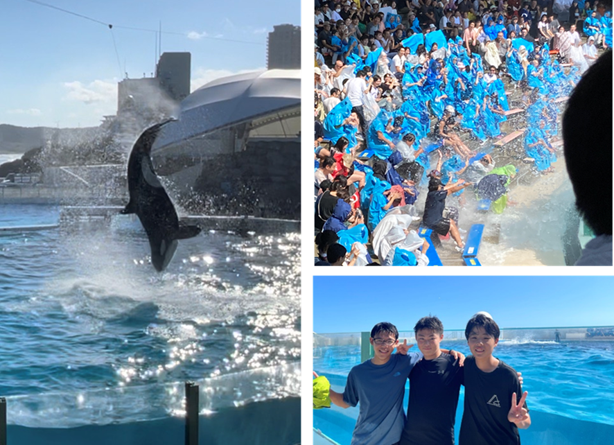 水族館１