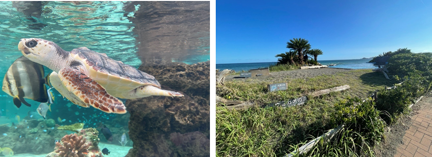 水族館３