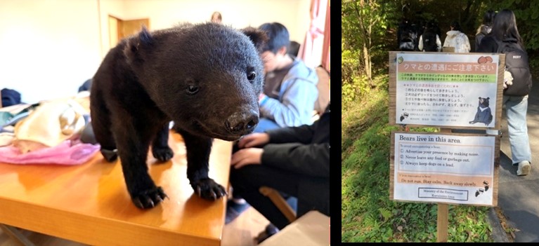 軽井沢フィールドワークツアー①