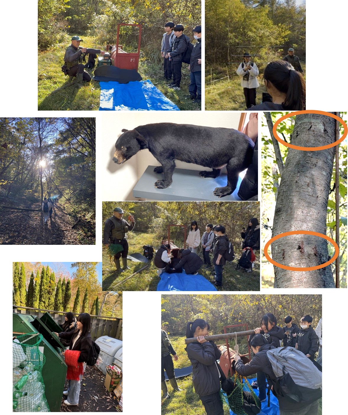 軽井沢フィールドワークツアー②