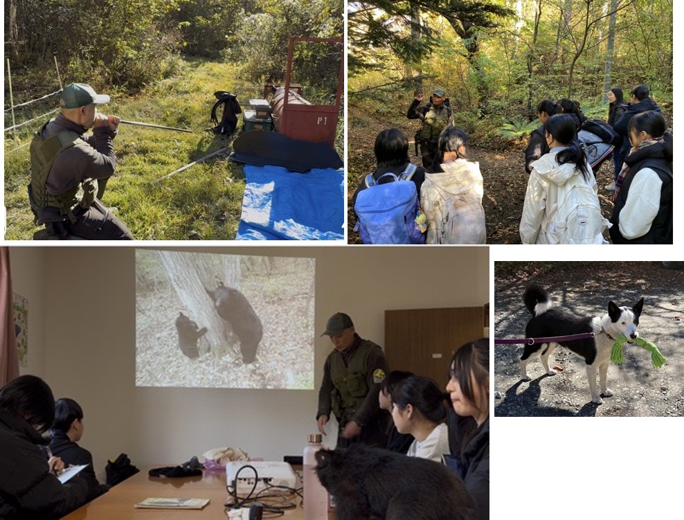 軽井沢フィールドワークツアー③