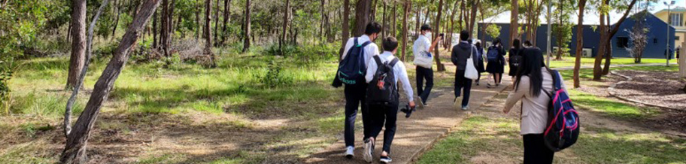 海外短期留学の写真