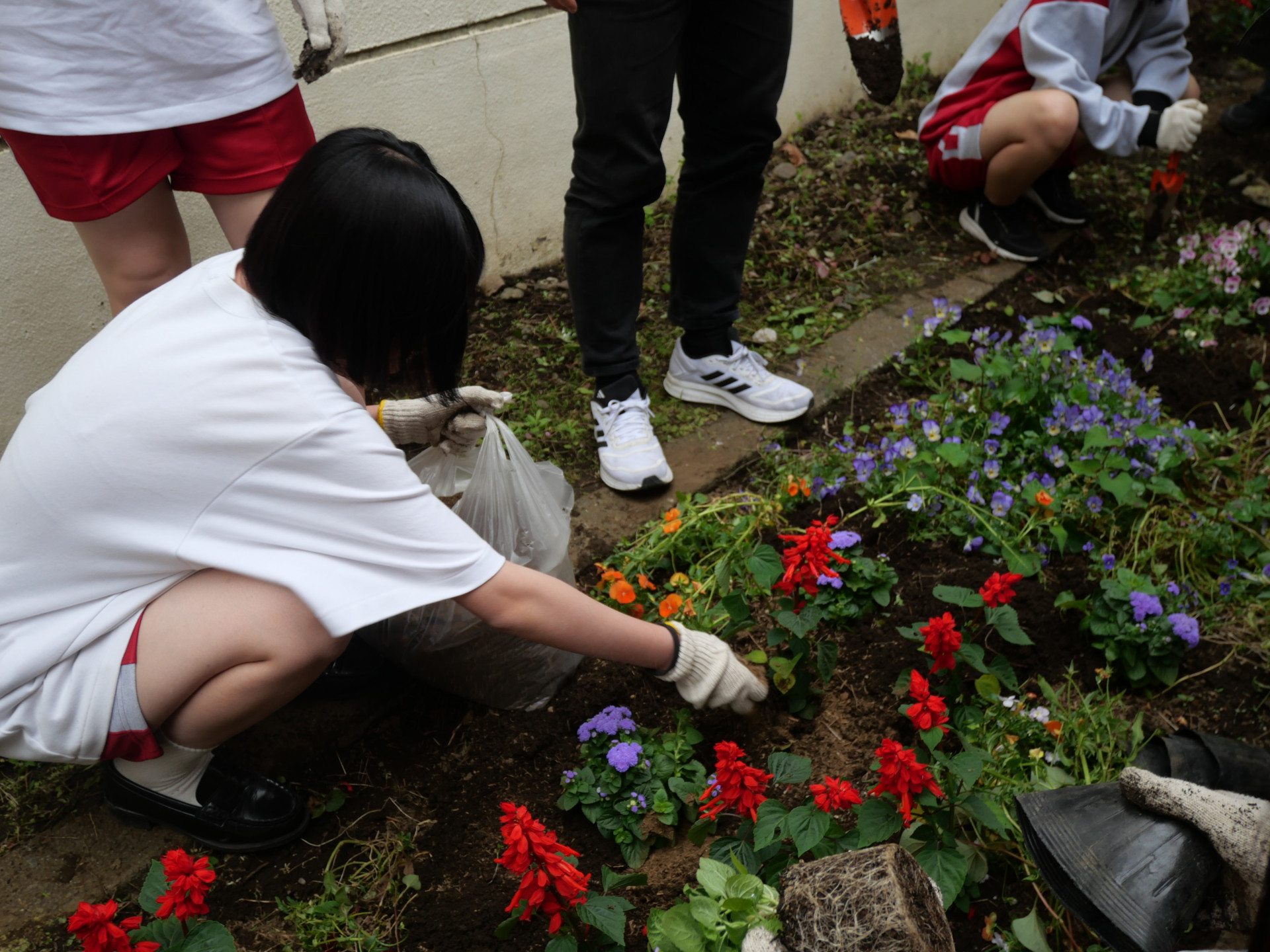 P1066085.JPG
