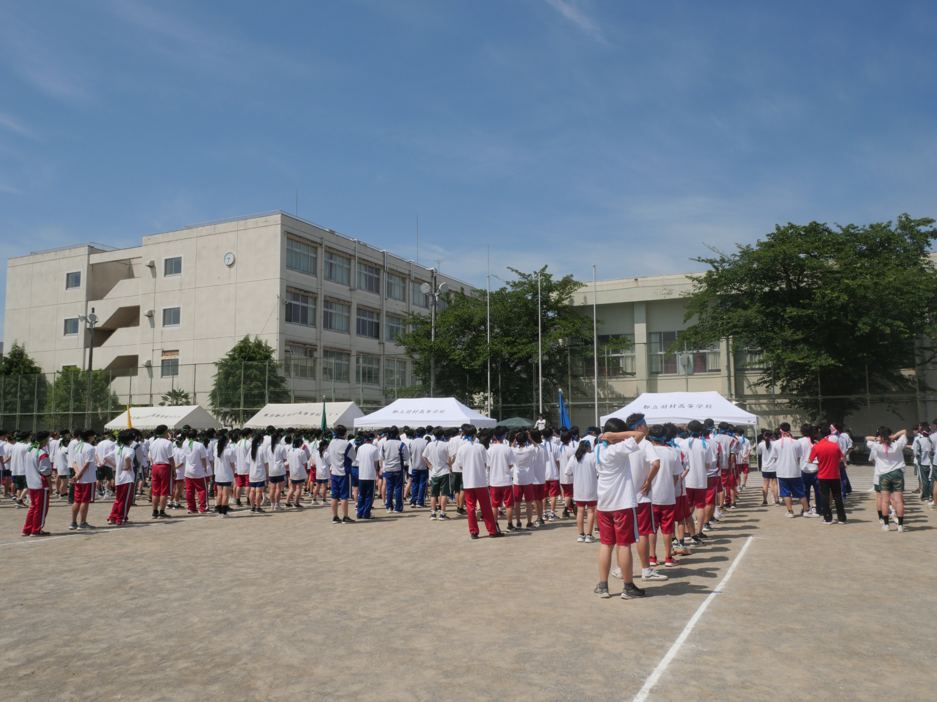 P1066226.JPG
