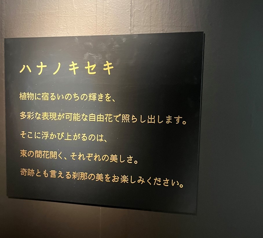 ハナノキセキ