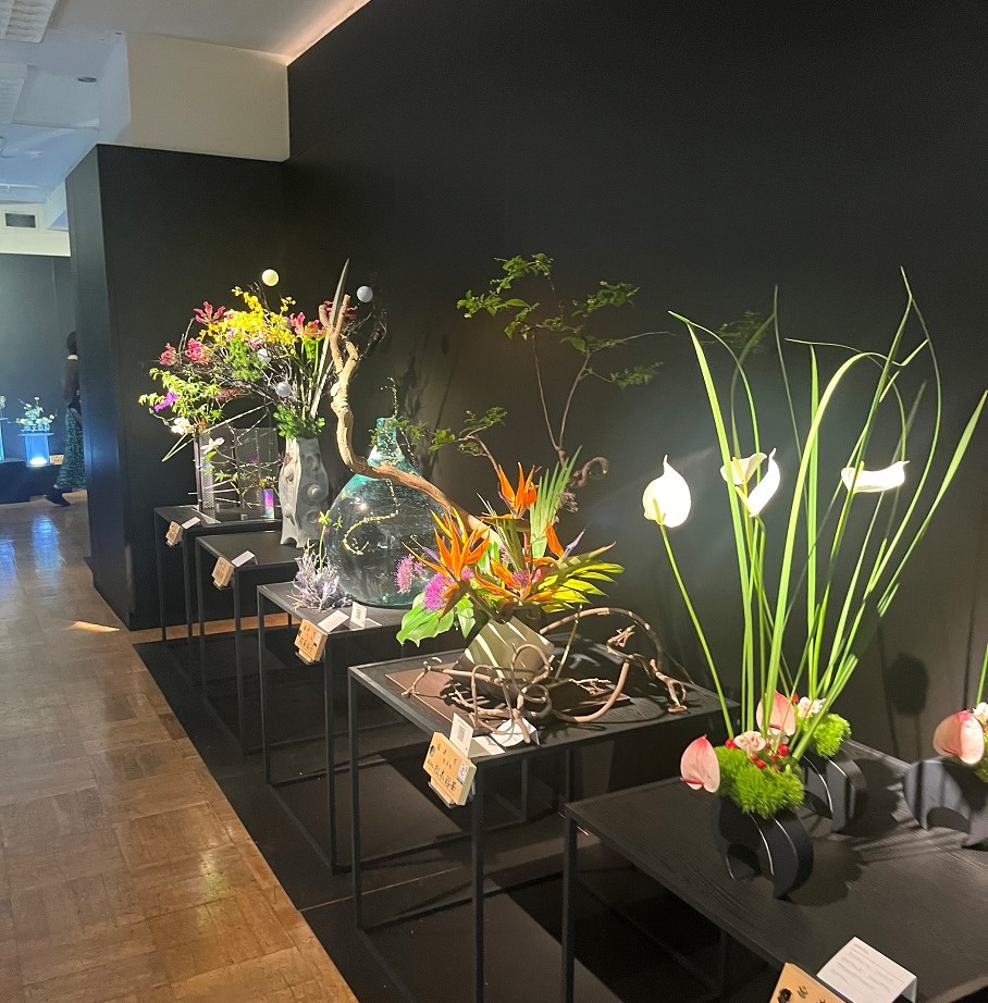 ハナノキセキ展示