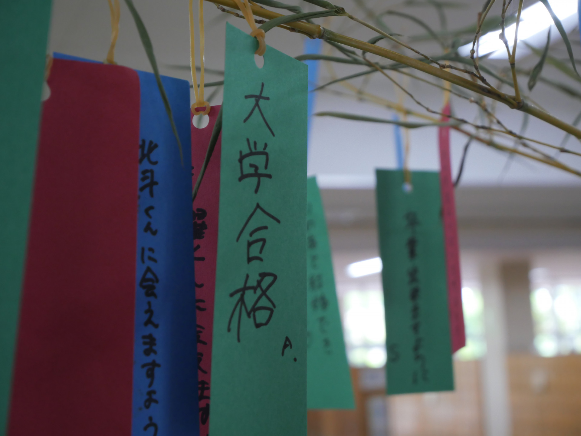 短冊大学合格.JPG