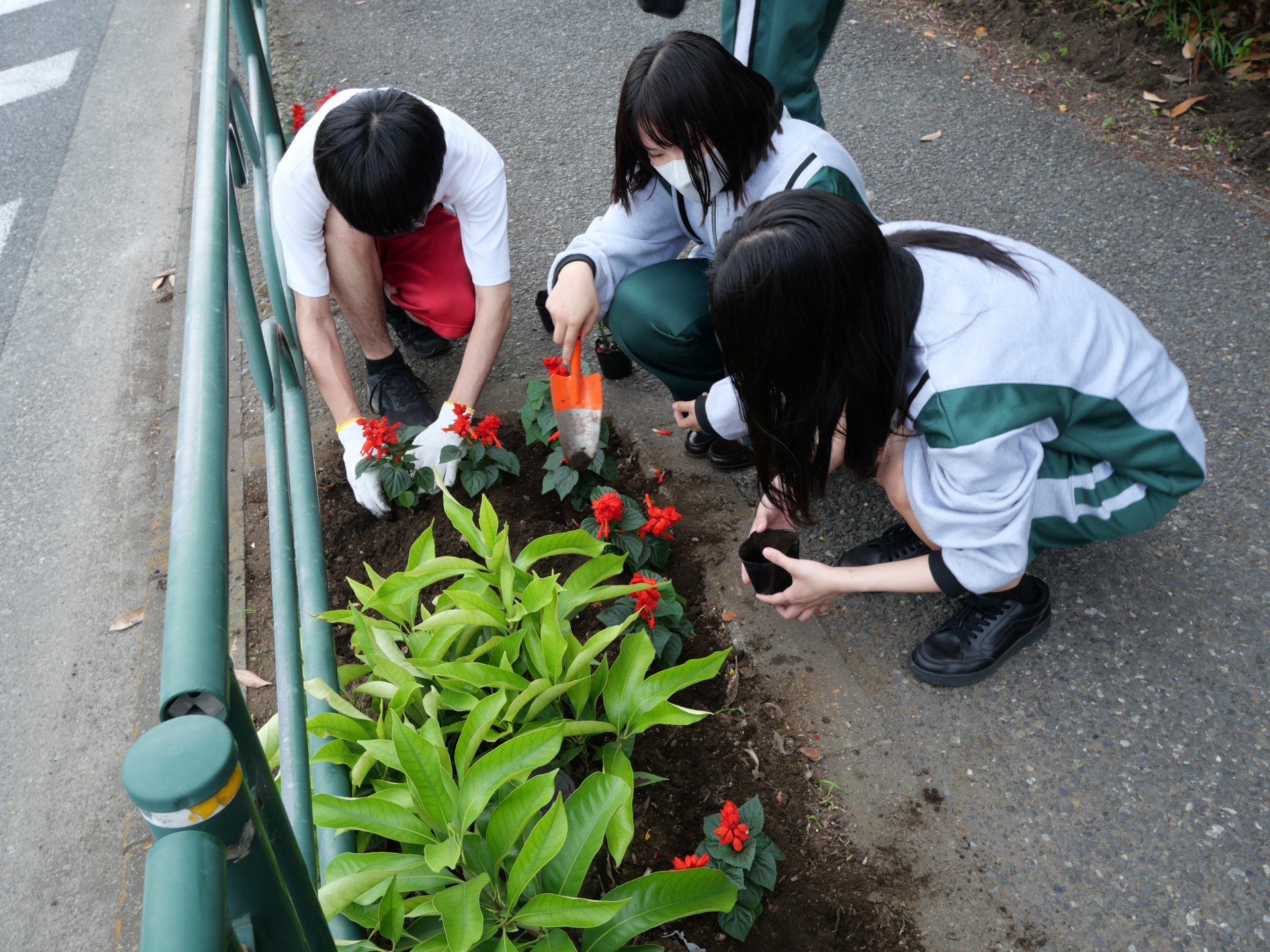花３.JPG