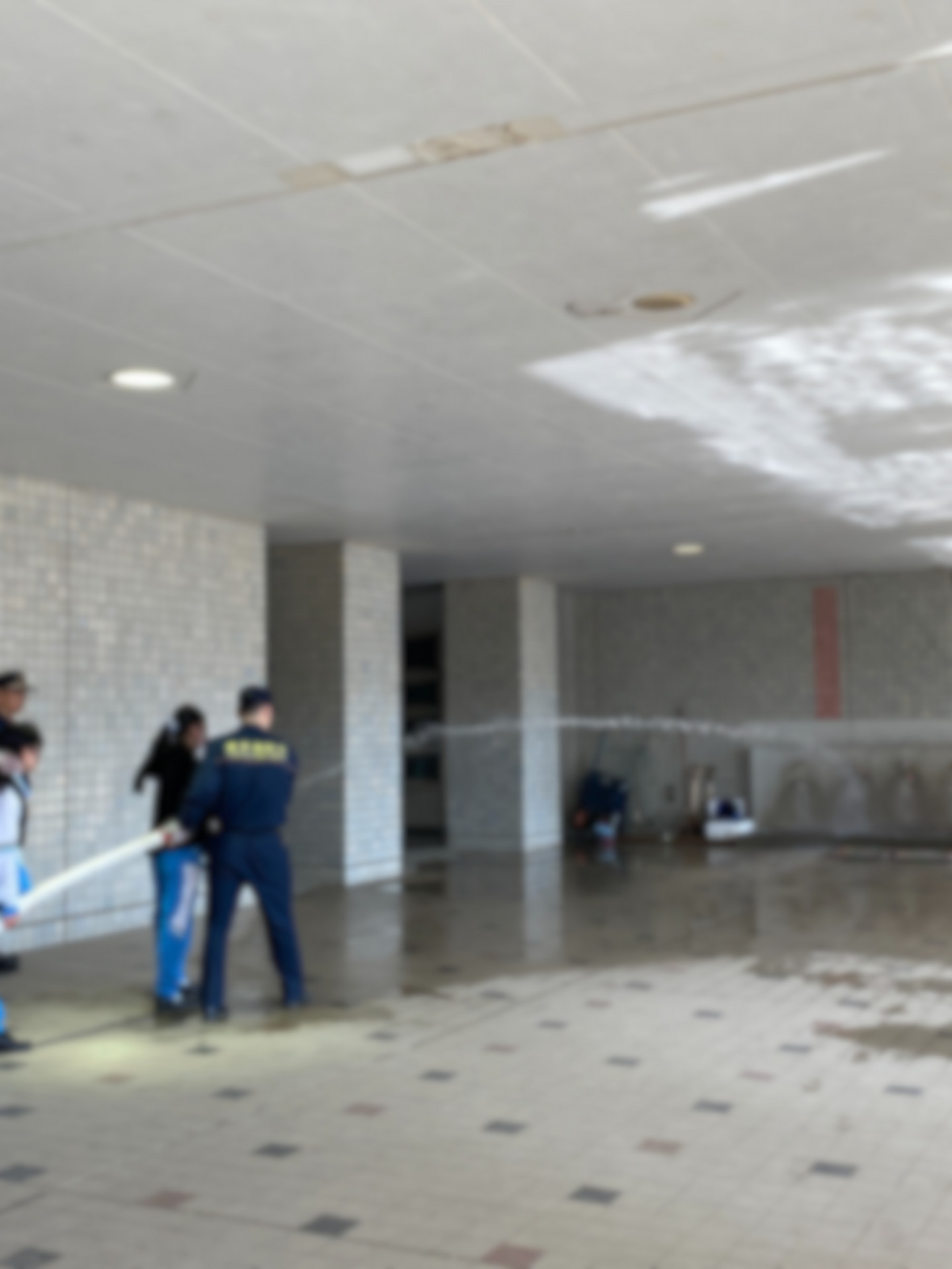 8bc9dc58-8991-4c49-8ae3-352d77615a0d