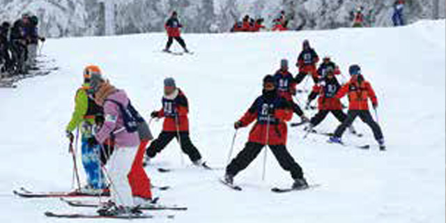 スキー教室の写真