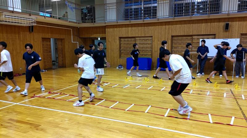 ラダー