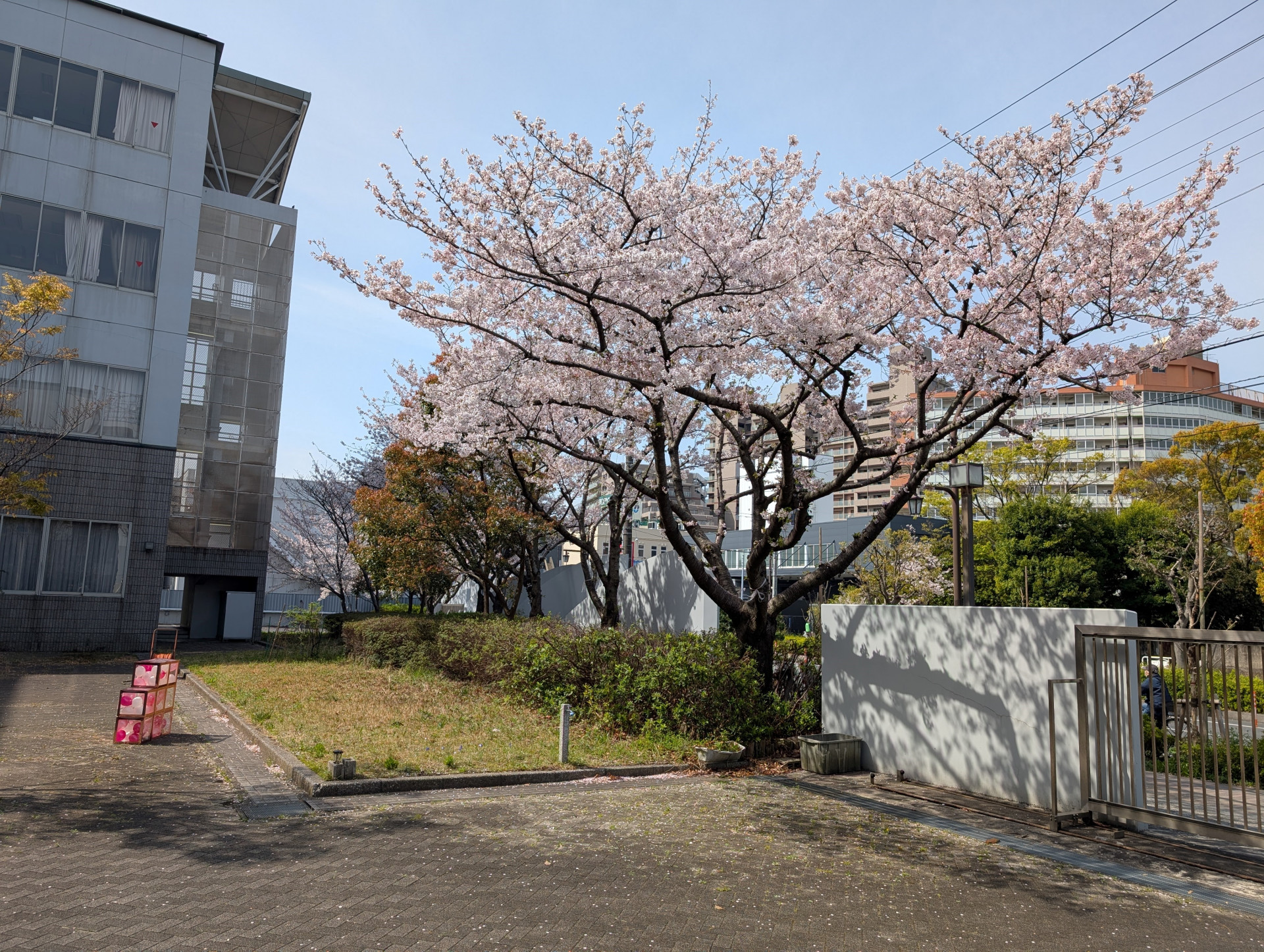 入学式2