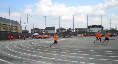 tai06.JPG