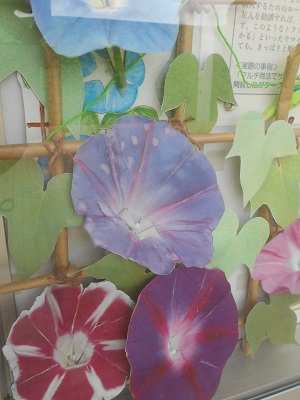 掲示板あさがお