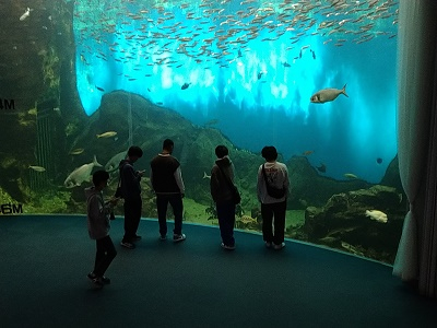 能登島水族館