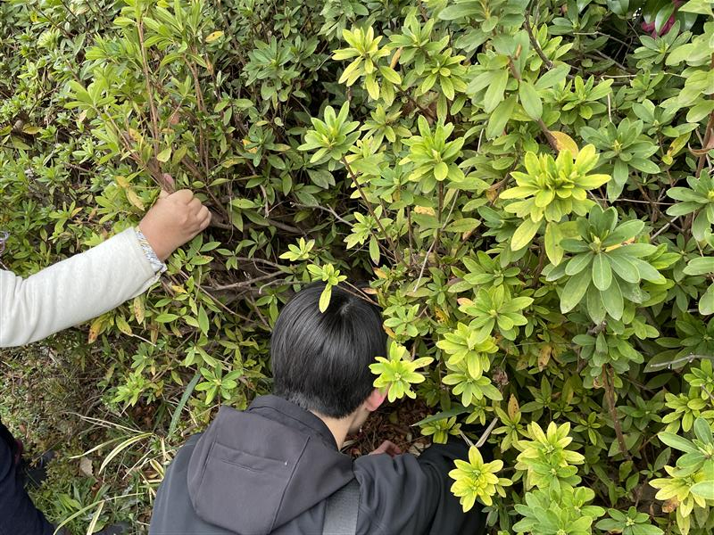 1da6dc99-9ac1-4cf9-a3c6-9c209dc6b055