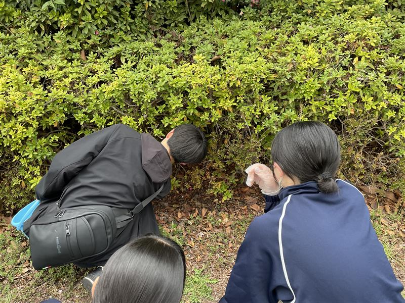 5199e7b2-1f96-4b53-925c-cfeaa474f306