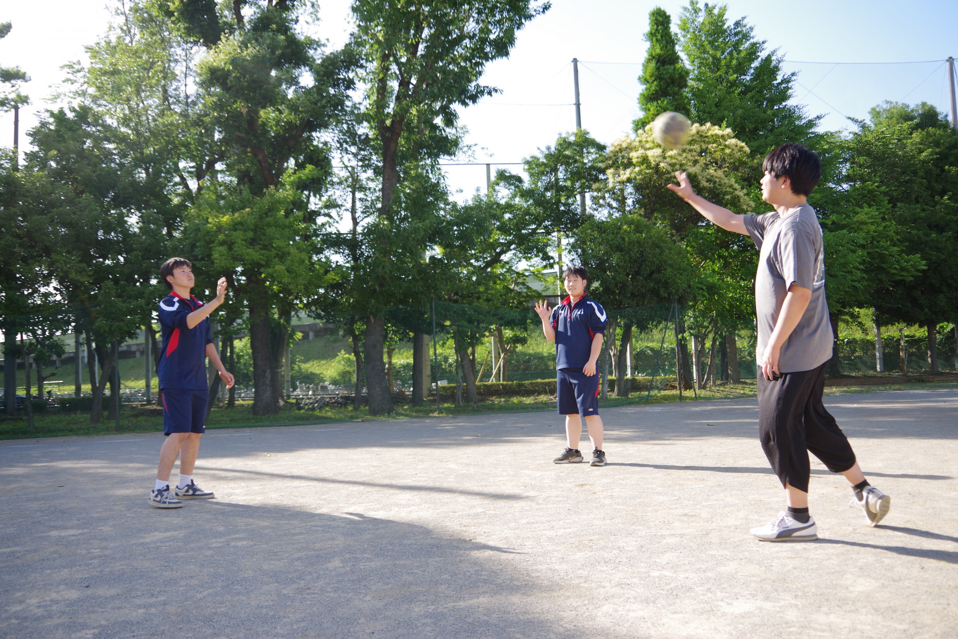 IMGP4603.JPG