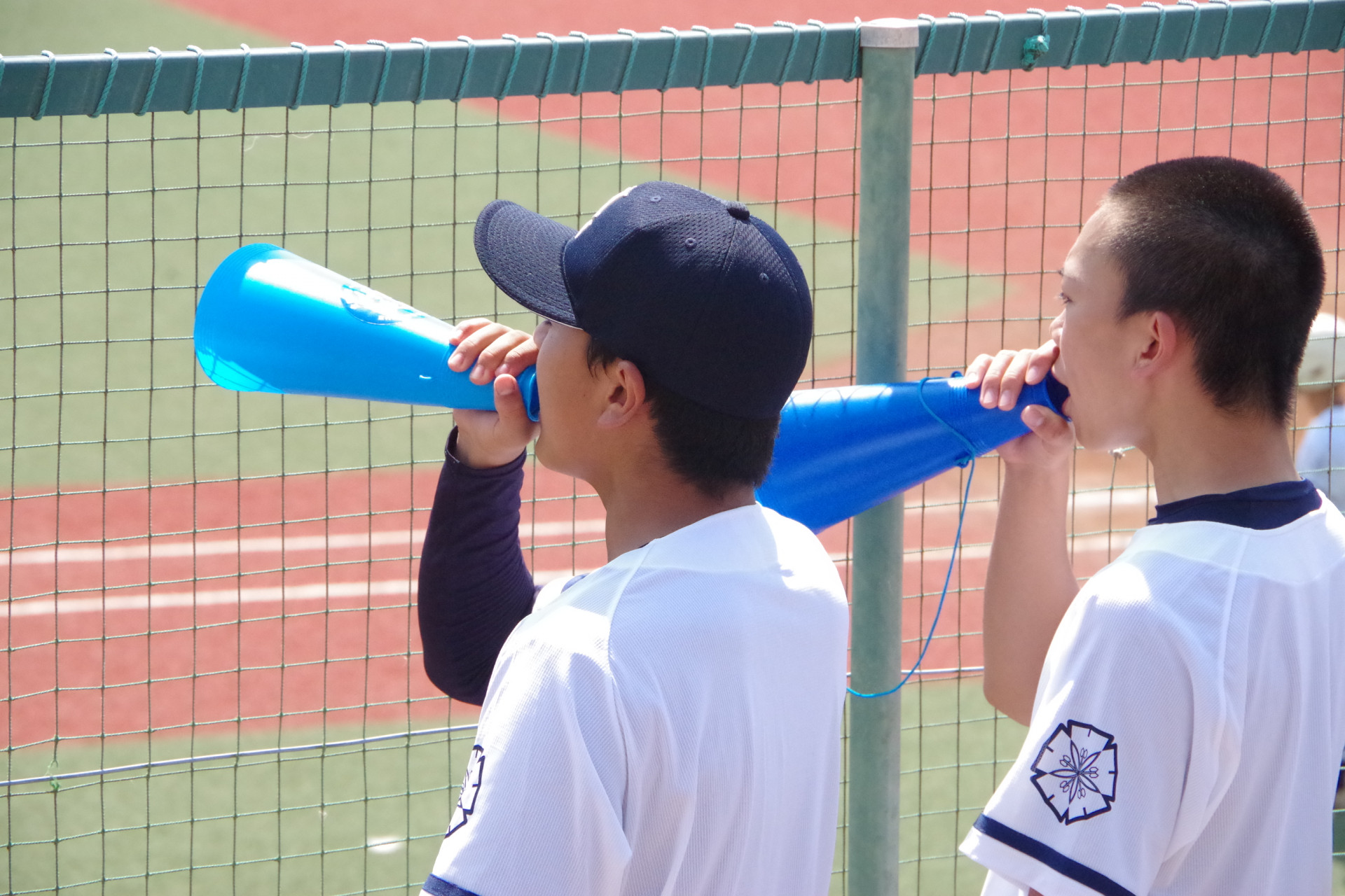 IMGP5226.JPG