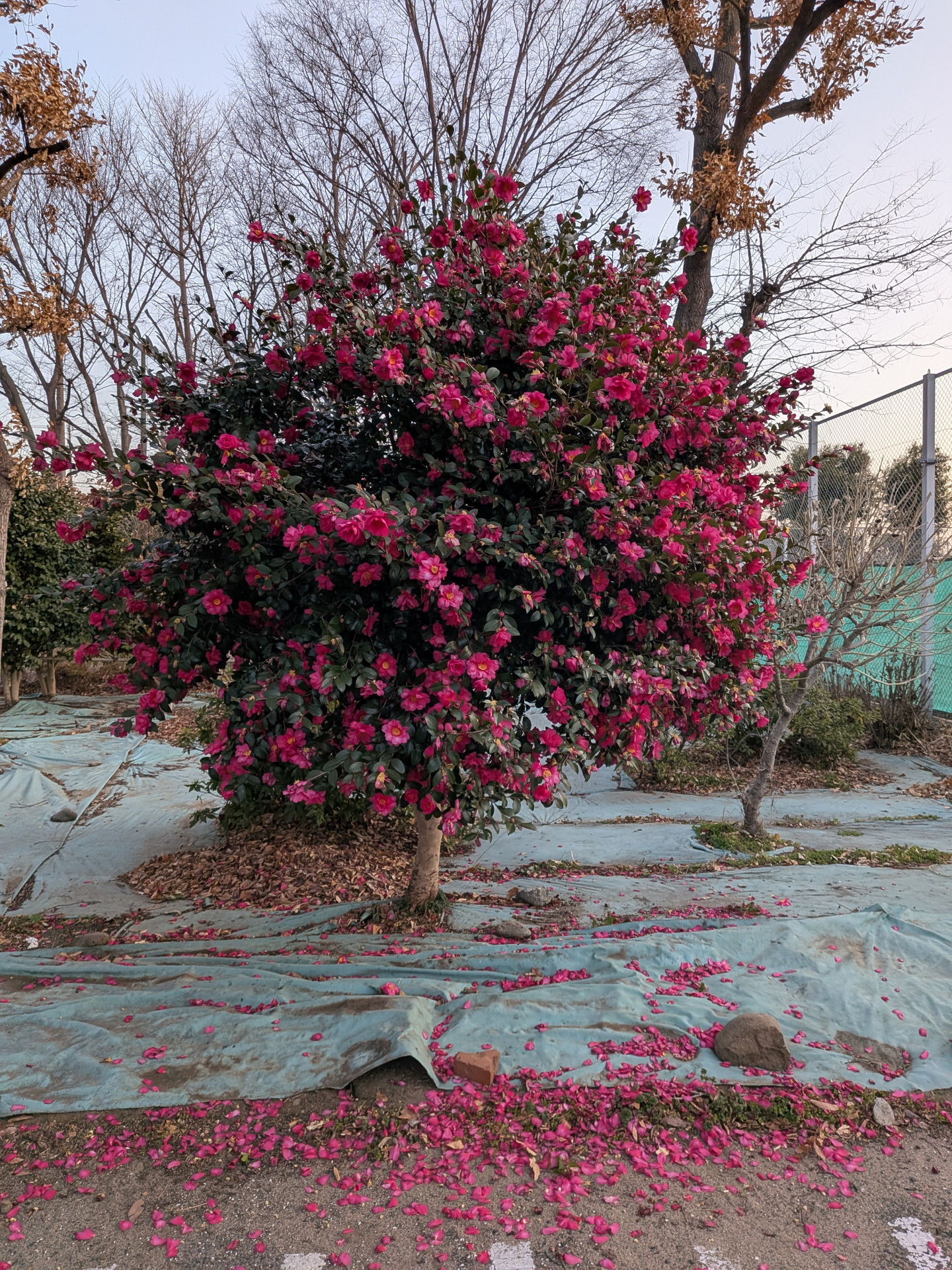 PXL_20260119_215735129