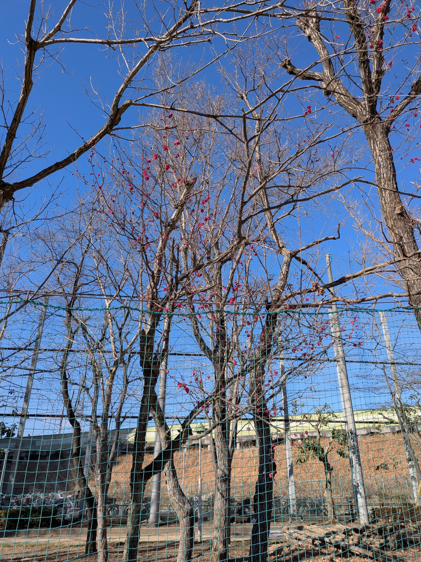 PXL_20260123_040454708