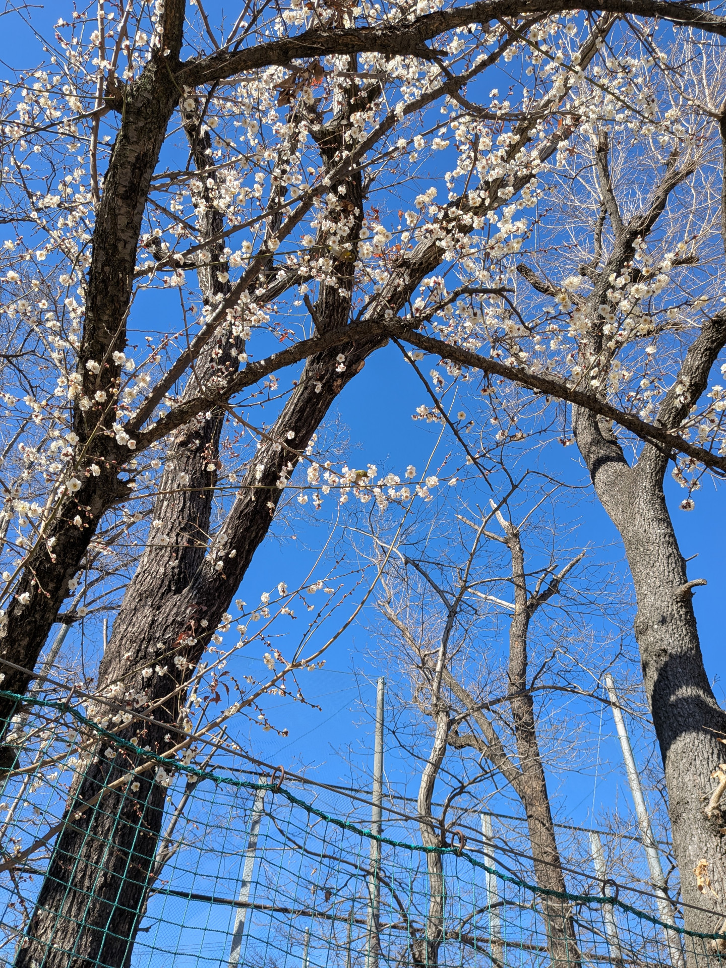 PXL_20260123_040725445